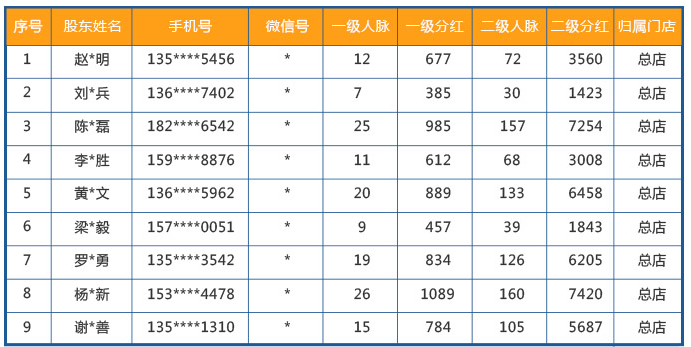 股东分红模式